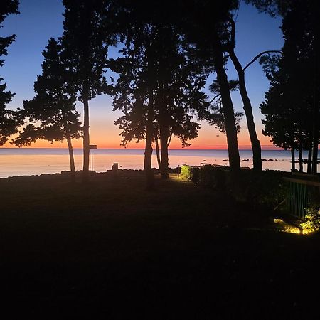 Villa Amore Radini Istrian Romantic Studio With Private Parking And Terrace Brtonigla Bagian luar foto